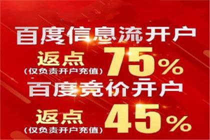 SEM推广实战：成功案例剖析